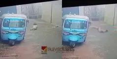 കോഴിക്കോട് കുറ്റ്യാടിയിലും കുറ്റിച്ചിറയിലും തെരുവുനായ ആക്രമണം; അഞ്ചുവയസുകാരനെ ഓടിച്ചിട്ട് കടിച്ചുപറിച്ചു