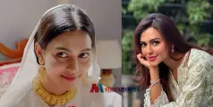 സിനിമയിൽ ഷെയ്ഖ് ഹസീനയുടെ വേഷം അവതരിപ്പിച്ച പ്രമുഖ നടി അറസ്റ്റിൽ