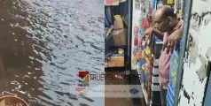 കണ്ണൂരിൽ ആർത്ത് പെയ്ത് മഴ; കുത്തുപറമ്പിലെ വ്യാപാര സ്ഥാപനങ്ങളിലേക്ക് ഇരച്ചെത്തി വെള്ളം, നാശനഷ്ടം