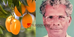 മാങ്ങയുടെ തൊലി തൊണ്ടയിൽ കുടുങ്ങി വയോധികന് ദാരുണാന്ത്യം