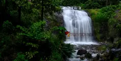 കോട്ടയത്ത് മറഞ്ഞിരിക്കുന്ന വിസ്മയകാഴ്ച്ച ; പോകാം മാർമല വെള്ളച്ചാട്ടത്തിലേക്ക് 