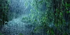 കണ്ണൂർ ജില്ലയിൽ റെഡ് അലർട്;  ഉളിക്കൽ പഞ്ചായത്തിൽ ജാഗ്രത നിർദ്ദേശം