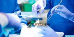 ദൈവമേ.... ന്തൊക്കെയാ ഇത്! കഠിനമായ വയറുവേദനയും ഛർദ്ദിയും ; യുവതിയുടെ വയറ്റിൽ നിന്ന് നീക്കം ചെയ്തത് ഒരു അടി നീളമുള്ള മുടിക്കെട്ട്