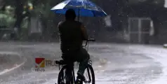 തലസ്ഥാനത്തും മ‍ഴ കനക്കുന്നു:  പ്രസ്സ് ക്ലബിന് മുന്നിൽ മരം കടപുഴകി; അരുവിക്കര ഡാമിന്‍റെ ഷട്ടറുകൾ തുറന്നു