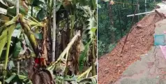 കോഴിക്കോട് ശക്തമായ കാറ്റിലും മഴയിലും മലയോര മേഖലകളില്‍ വ്യാപക നാശനഷ്ടം