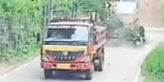 കനത്ത മഴയിൽ തെങ്ങ് പൊട്ടിവീണ് യുവാവിന് പരിക്ക് 