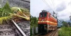 മടപ്പള്ളിയിൽ റെയിൽവേ ട്രാക്കില്‍ തെങ്ങ് വീണു; കണ്ണൂര്‍ ഭാഗത്തേക്കുള്ള ട്രെയിന്‍ സര്‍വീസുകള്‍ തടസ്സപ്പെട്ടു