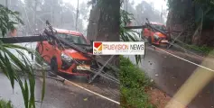 പാനൂരിനടുത്ത് തൂവക്കുന്നിൽ ഓടിക്കൊണ്ടിരിക്കെ കാറിന് മുകളിൽ ഇലക്ട്രിക് പോസ്റ്റ് പൊട്ടിവീണു.