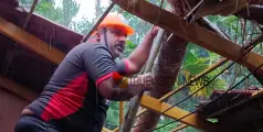 മരുതോങ്കര കോതോട് തെങ്ങ് വീണ് രണ്ട് വീടുകൾക്ക് കേടുപാട് 