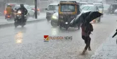വയനാട് ജില്ലയില്‍  കനത്ത മഴ: പൊതുജനങ്ങള്‍ ജാഗ്രത പുലര്‍ത്തണമെന്ന്  ജില്ലാ കളക്ടര്‍