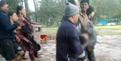 കോഴിക്കോട്ട് നിന്ന് ഊട്ടിയിൽ വിനോദയാത്രയ്ക്കെത്തിയ കുടുംബത്തിലെ വിദ്യാർത്ഥി ദേഹത്ത് മരം പൊട്ടിവീണ് മരിച്ചു