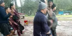 കുറ്റ്യാടിയിൽ നിന്ന് ഊട്ടിയിൽ വിനോദയാത്രയ്ക്കെത്തിയ കുടുംബത്തിലെ വിദ്യാർത്ഥി ദേഹത്ത് മരം പൊട്ടിവീണ് മരിച്ചു