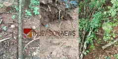 കോഴിക്കോട് വടകരയിൽ വീട്ടുമുറ്റത്തെ ചന്ദനമരം മോഷ്ടിച്ചു; ഏകദേശം ഒരു ലക്ഷം രൂപയുടെ നഷ്ടം