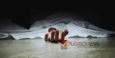 കോഴിക്കോട് കോടഞ്ചേരിയില്‍ തോട്ടില്‍ മീന്‍പിടിക്കാനിറങ്ങിയ സഹോദരങ്ങൾ വൈദ്യുതാഘാതമേറ്റ് മരിച്ചു