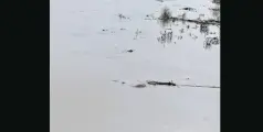 പാഴൂർ മണപ്പുറത്ത് അജ്ഞാത മൃതദേഹം തങ്ങിനിൽക്കുന്നു
