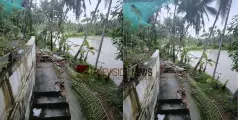 കുറ്റ്യാടിയിൽ കനത്ത മഴയിൽ വീട്ടുമതില്‍ തകര്‍ന്ന് നിലം പതിച്ചു 