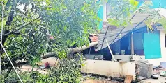 ആമ്പലൂർ പഞ്ചാത്ത് പരിധിയിൽ കാറ്റ് നാശം വിതച്ചു 