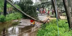 കടലാക്രണം; അഴിയൂർ ആവിക്കരയിൽ വൈദ്യുതി പോസ്റ്റുകളും കാറ്റാടി മരവും നിലംപൊത്തി 