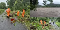  കനത്ത മഴ; ഇടുക്കിയിൽ 25 വീടുകള്‍ തകര്‍ന്നു, മൂന്നാർ ഗ്യാപ്പ് റോഡിൽ രാത്രികാല ഗതാഗത നിരോധനം