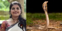 രണ്ടര വയസുള്ള മകന് ചോറ് വാരിക്കൊടുക്കുന്നതിനിടെ പാമ്പ് കടിയേറ്റു; യുവതിക്ക് ദാരുണാന്ത്യം