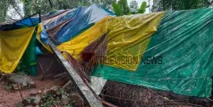 വീശിയടിച്ച് കാലവർഷക്കാറ്റ്; കാവിലുംപാറയിൽ വീടിന് മുകളിൽ ഇലക്ട്രിക്ക് പോസ്റ്റ് വീണു, ഒഴിവായത് വൻ അപകടം 