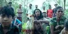 മായു മായു മായു മായു മണ്ണെ..; 'നരിവേട്ട'യിലെ പുതിയ ലിറിക്കൽ വീഡിയോ റിലീസ് ചെയ്തു