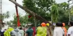  മരം കടപുഴകി വീണു, തോടന്നൂർ ടൗണിൽ മണിക്കൂറുകളോളം ഗതാഗതം സ്തംഭിച്ചു
