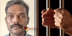 ഭർത്താവുമായി പിണങ്ങി; ഭാര്യയെ മറ്റൊരാൾക്ക് വിവാഹംകഴിച്ചു കൊടുത്തെന്നാരോപിച്ച് ഭാര്യാസഹോദരനെ കൊല്ലാൻ ശ്രമം, പ്രതിക്ക് തടവ്