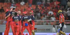ഒരു ജയമകലെ സ്വപ്നകിരീടം; പഞ്ചാബിനെ തകർത്ത് ബംഗളൂരു ഐ.പി.എൽ ഫൈനലിൽ
