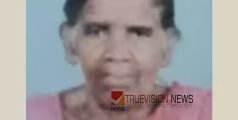കൂത്താട്ടുകുളത്ത് തൊഴിലുറപ്പ് തൊഴിലാളി മരം വീണ് മരിച്ചു
