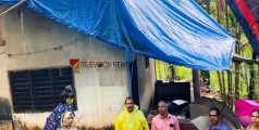 മഴ ദുരിതം; വേളത്ത് മരം വീണ് വീട് ഭാഗികമായി തകർന്നു 