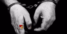 നായ്ക്കളുടെ ആക്രമണത്തിൽ പരിക്കേറ്റ മാനിനെ കറിവെച്ചു കഴിച്ച നാലുപേർ വനംവകുപ്പിന്റെ പിടിയിൽ