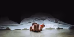 കുഞ്ഞിപ്പള്ളിയില്‍ ട്രാക്ക് മുറിച്ച് കടക്കവെ ട്രെയിനിടിച്ചു ;  ഇതരസംസ്ഥാന തൊഴിലാളിക്ക് ദാരുണാന്ത്യം
