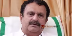 'അത് വിവാദമാക്കേണ്ട കാര്യമില്ല, രാഹുല്‍ മാങ്കൂട്ടത്തില്‍- പി വി അന്‍വര്‍ കൂടിക്കാഴ്ച്ച വ്യക്തിപരം' -  കെ മുരളീധരന്‍