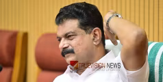 നിലമ്പൂർ 'ചതുഷ്കോണ' സമാനം; പി.വി അൻവർ തൃണമൂൽ കോൺഗ്രസ് സ്ഥാനാർത്ഥി, ചിഹ്നം പൂവും പുല്ലും