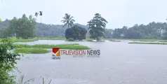 കാലവർഷം ശക്തി കുറഞ്ഞു: വയനാട്ടിൽ അടച്ചിട്ട ടൂറിസ്റ്റ് കേന്ദ്രങ്ങൾ തുറക്കാം, ജില്ലാ കളക്ടർ അനുമതി നൽകി