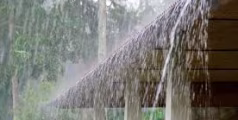 മഴ കുറയുമെന്ന് കാലാവസ്ഥ വകുപ്പ്; ഇന്ന് നാല് ജില്ലകളില്‍ യെല്ലോ അലേര്‍ട്ട്