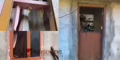 കയ്യിൽ ആയുധങ്ങൾ; വാതിൽ വെട്ടിപ്പൊളിച്ച് അകത്ത് കടക്കും, ശബരിമല വനമേഖലയിൽ അജ്ഞാത സംഘം