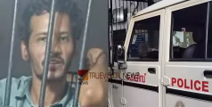 പൊലീസ് പരിശോധനയക്കിടെ കഞ്ചാവ് അടങ്ങിയ പാക്കറ്റ് വിഴുങ്ങാൻ ശ്രമം; തിരുവള്ളൂർ സ്വദേശി പിടിയിൽ