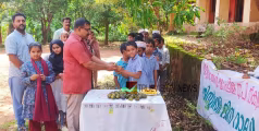 ലോക പരിസ്ഥിതി ദിനം; വേറിട്ട സന്ദേശവുമായി മുതുവടത്തൂർ എം യു പി വിദ്യാർത്ഥികൾ