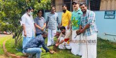 നല്ല നാളേക്കായ്; ഓർക്കാട്ടേരിയിൽ വൃക്ഷ തൈകൾ നട്ട് പരിസ്ഥിതി ദിനം ആചരിച്ചു