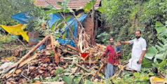 വ്യാപക കൃഷിനാശം; തൊട്ടില്‍പ്പാലത്ത് കാട്ടാന ശല്യം രൂക്ഷം, കർഷകർ ദുരിതത്തിൽ 