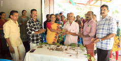പരിസ്ഥിതി ദിനത്തില്‍  തൈകള്‍ കൈമാറി ആശാരിമുക്ക് റെസിഡന്‍സ് അസോസിയേഷന്‍ മാതൃകയായി