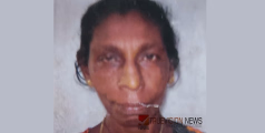 താനിക്കുഴിയിൽ ഒന്തം പറമ്പത്ത് ജാനു അന്തരിച്ചു
