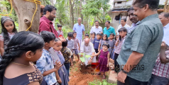 നാളെയുടെ തണലാകാം; തിരുമന എൽ പി സ്കൂളിൽ പരിസ്ഥിതി ദിനാചരണം വേറിട്ടതായി