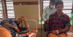 കോഴിക്കോട് ബാലുശ്ശേരിയിൽ രണ്ട് പേർക്ക് പെരുമ്പാമ്പിൻ്റെ കടിയേറ്റു