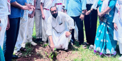 തേന്മാവ് പദ്ധതിക്ക് തുടക്കമായി :ജൂനിയർ റെഡ്ക്രോസ് ജില്ല പ്രസിഡൻ്റ് എൻ.ടി. സുധീന്ദ്രൻ ഉദ്ഘാടനം ചെയ്തു