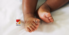 അങ്ങേയറ്റം ക്രൂരത ....; 17 മാസം പ്രായമുള്ള കുഞ്ഞിനെ രണ്ടാനച്ഛന്‍ എടുത്തെറിഞ്ഞ് കൊലപ്പെടുത്തി, അറസ്റ്റ് 