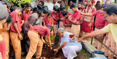തലമുറകൾക്ക് സമ്മാനം; മുട്ടുങ്ങൽ സൗത്ത് യു.പിയിൽ പരിസ്ഥിതി ദിനാചരണവും വൃക്ഷതൈ നടലും ശ്രദ്ധേയമായി 