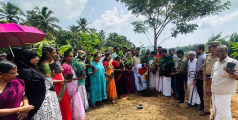 ഇനി പച്ച പുതയ്ക്കും; ഹരിത കേരളം മിഷൻ പച്ചതുരുത്ത് വ്യാപനത്തിന്റെ ജില്ലാതല ഉദ്ഘാടനം നടത്തി